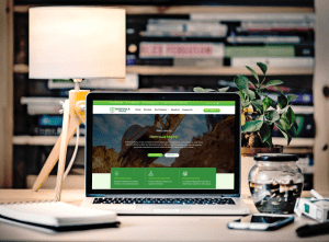 A mobile‑friendly business website – best website design services for small businesses in South Africa by RoyinTech Designs.